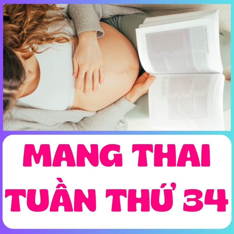 Mẹ bầu mang thai tuần 34 đang đọc sách chăm chú